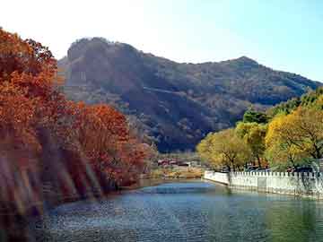 天天彩好彩天天免费，惊悚旅店